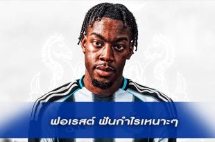 ฟอเรสต์ ฟันกำไรเหนาะๆ